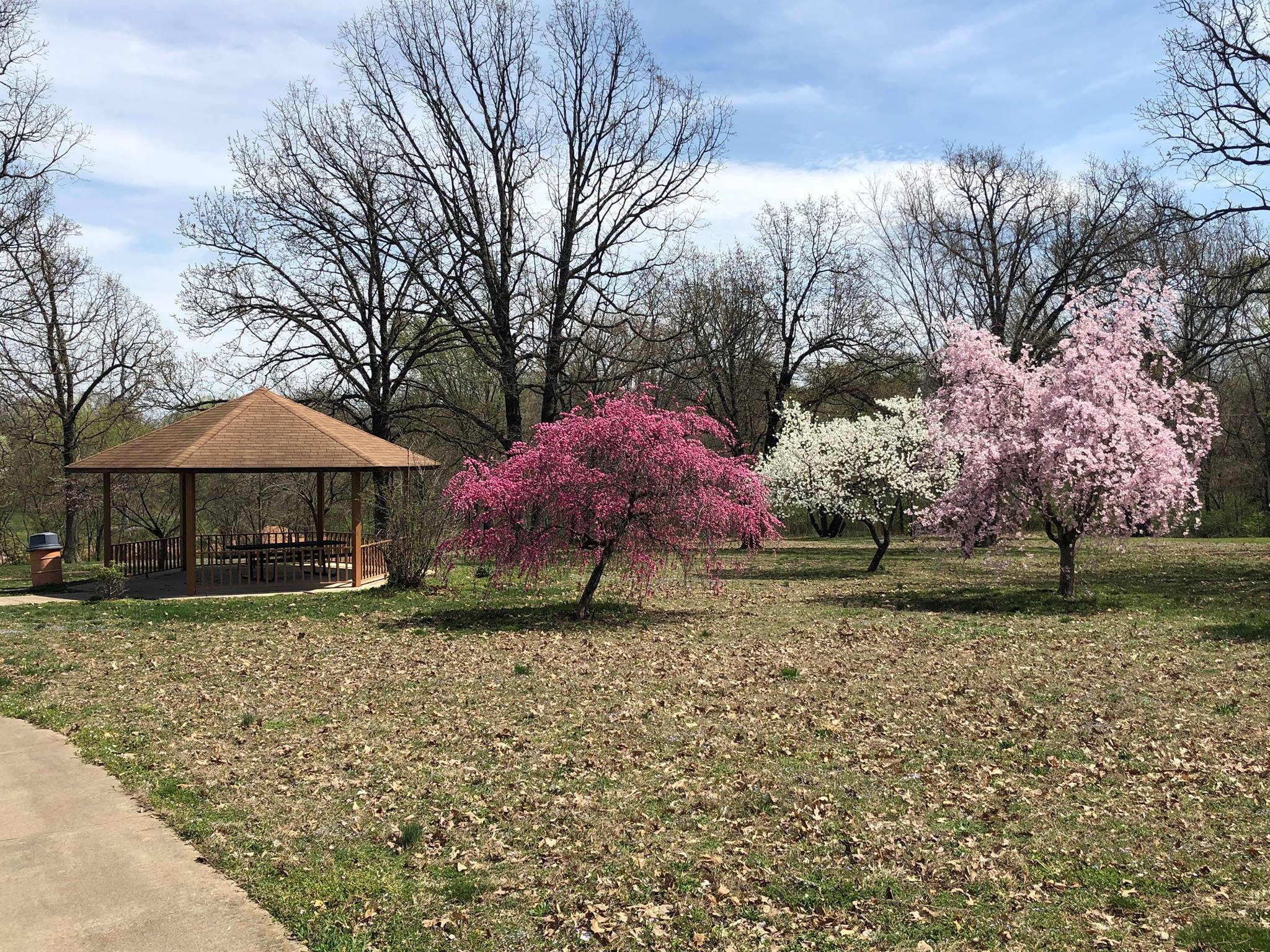 Palmer Park in Lebanon, Missouri, showing the gazebo and surrounding green space